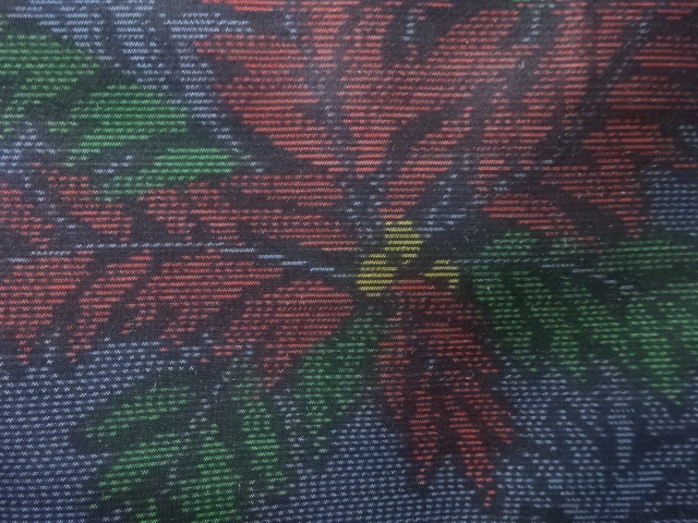 JAPANESE KIMONO / ANTIQUE KIMONO / SILK / DORO OSHIMA TSUMUGI / WOVEN PLANTS